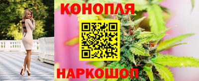 гашик Ливны