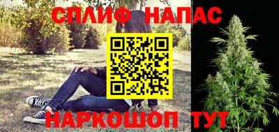 гашик Ливны