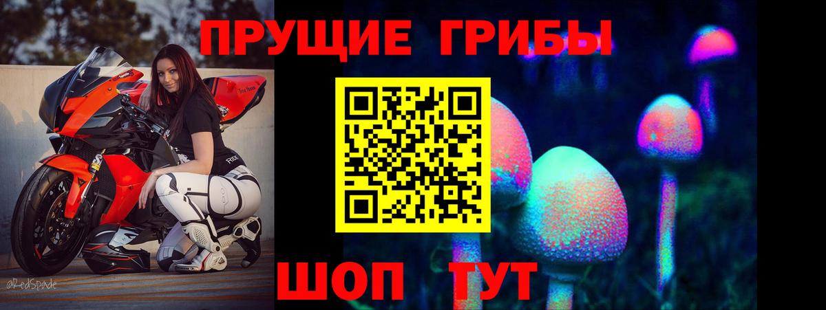 Галлюциногенные грибы Psilocybine cubensis  Вход с VPN  Алапаевск 